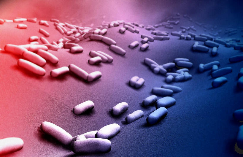 无人,横图,插画,室内,白天,正面,数码,分子,科技,微生物,静物,阴影,网络,细菌,医学,细胞,高光,几何,计算机图形,合成,图画,画,生物,人体,电脑合成图,数码合成图,医疗,生物学,漫画,生理学,写实,具体,具象,寄生,生命体,枯草芽孢杆菌,棒状,蜡样芽孢杆菌,破伤风,炭疽,彩图