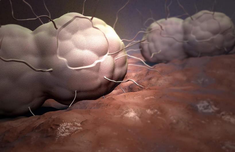 无人,横图,插画,室内,白天,正面,数码,分子,科技,微生物,静物,阴影,网络,细菌,医学,细胞,高光,几何,计算机图形,合成,图画,画,生物,人体,电脑合成图,数码合成图,医疗,生物学,漫画,生理学,写实,具体,具象,寄生,生命体,淋病,淋病奈瑟菌,淋菌,淋球菌,性病,彩图