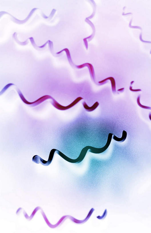 无人,竖图,插画,室内,白天,正面,数码,分子,科技,微生物,静物,阴影,网络,细菌,医学,细胞,高光,几何,计算机图形,合成,图画,画,生物,人体,电脑合成图,数码合成图,医疗,生物学,漫画,生理学,写实,具体,具象,寄生,生命体,螺旋菌,梅毒螺旋体,彩图