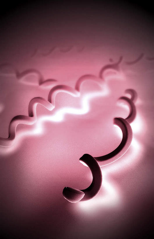 无人,竖图,插画,室内,白天,正面,数码,分子,科技,微生物,静物,阴影,网络,细菌,医学,细胞,高光,几何,计算机图形,合成,图画,画,生物,人体,电脑合成图,数码合成图,医疗,生物学,漫画,生理学,写实,具体,具象,寄生,生命体,螺旋菌,梅毒螺旋体,彩图