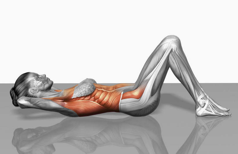 动脉,静脉,骨骼,肌肉,健壮,一个人,无人,躺,仰卧起坐,横图,插画,室内,特写,白天,白色背景,侧面,数码,科技,静物,仅一个年轻女性,仅一个女性,仅一个人,阴影,光线,网络,医学,影子,灯光,骨头,高光,几何,计算机图形,合成,图画,注视,画,模型,观察,看,健康,活力,力量,人体,观看,青春,电脑合成图,数码合成图,骨架,察看,生物学,强壮,关注,胸肌,漫画,生理学,写实,具体,具象,背阔肌,三角肌,前锯肌,胸锁乳突肌,腹外斜肌,腹直肌,卧着,年轻女性,女人,女性,躺着,卧,仰卧,彩图,全身