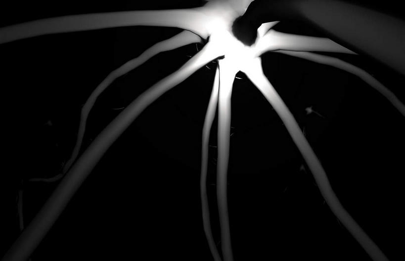 无人,横图,黑白,插画,室内,白天,正面,数码,分子,科技,微生物,静物,阴影,黑色背景,局部,网络,医学,枝条,高光,几何,计算机图形,合成,图画,画,生物,分叉,人体,电脑合成图,数码合成图,医疗,生物学,漫画,神经元,生理学,写实,具体,具象,神经细胞,生命体,轴突,神经系统