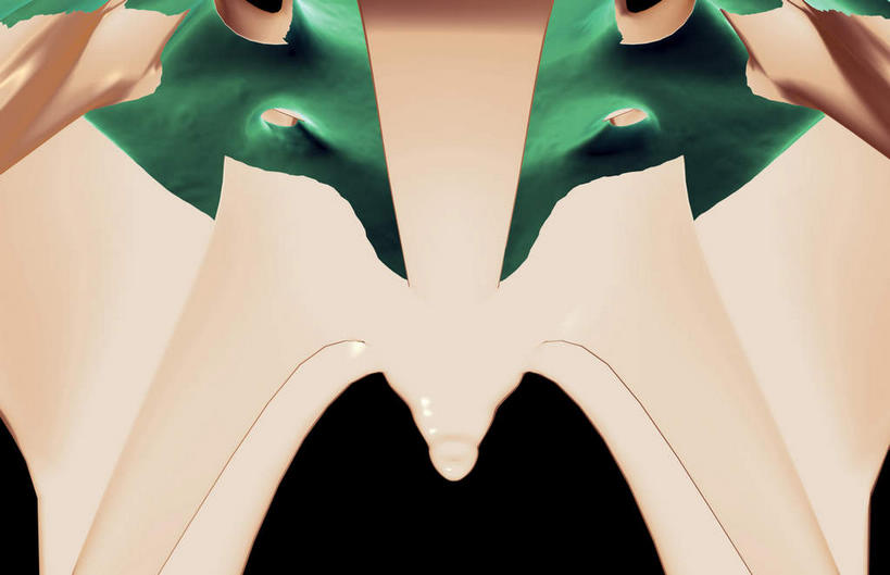 骨骼,骨盆,无人,横图,插画,室内,白天,正面,数码,科技,静物,阴影,黑色背景,局部,网络,医学,骨头,高光,几何,计算机图形,合成,图画,画,人体,电脑合成图,数码合成图,骨架,生物学,盆骨,漫画,生理学,写实,具体,具象,尾骨,彩图