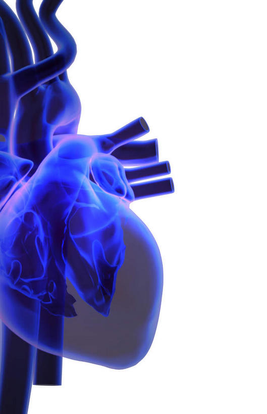 内脏,心脏,动脉,静脉,无人,竖图,插画,x光片,室内,白天,白色背景,正面,数码,科技,静物,阴影,局部,辐射,科学,网络,医学,高光,几何,计算机图形,合成,图画,画,模型,人体,电脑合成图,数码合成图,医疗,生物学,人体器官,科学技术,x射线,器官,x光,漫画,心血管,心房,心室,生理学,写实,具体,具象,右心室,主动脉,肺动脉,肺静脉,左心室,心,彩图,电磁波,电磁辐射