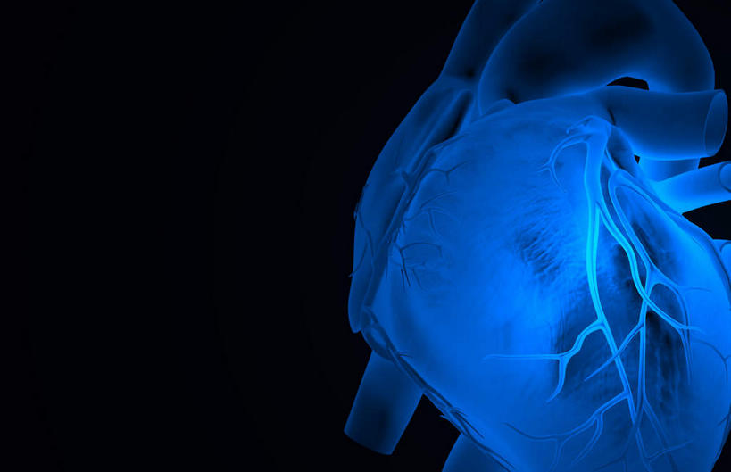 内脏,心脏,动脉,静脉,无人,横图,插画,x光片,室内,白天,正面,数码,科技,静物,阴影,黑色背景,局部,辐射,科学,网络,医学,高光,几何,计算机图形,合成,图画,画,模型,人体,电脑合成图,数码合成图,医疗,生物学,人体器官,科学技术,x射线,器官,x光,漫画,心血管,生理学,写实,具体,具象,肺动脉,肺静脉,冠状动脉,冠心病,冠状沟,前室间沟,心,彩图,电磁波,电磁辐射