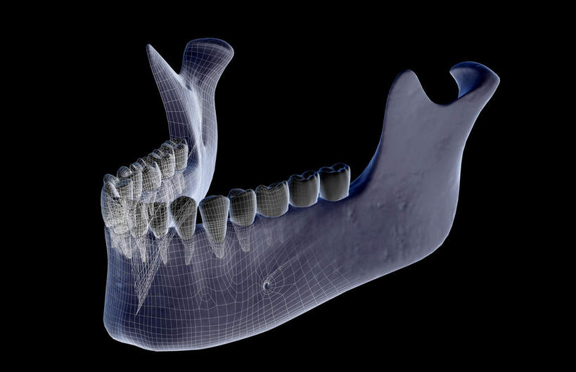 颅骨,动脉,静脉,骨骼,无人,横图,插画,x光片,室内,特写,白天,正面,数码,科技,静物,阴影,黑色背景,辐射,科学,网络,医学,骨头,高光,几何,计算机图形,合成,图画,画,模型,人体,电脑合成图,数码合成图,骨架,医疗,生物学,科学技术,x射线,x光,漫画,生理学,写实,具体,具象,颚骨,头盖骨,彩图,电磁波,电磁辐射