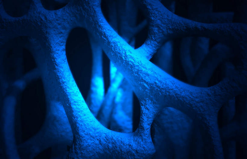 骨骼,无人,横图,插画,室内,特写,白天,正面,数码,科技,静物,阴影,黑色背景,网络,医学,骨头,高光,几何,计算机图形,合成,图画,画,人体,电脑合成图,数码合成图,骨架,生物学,漫画,生理学,写实,具体,具象,骨质疏松,骨质疏松症,彩图