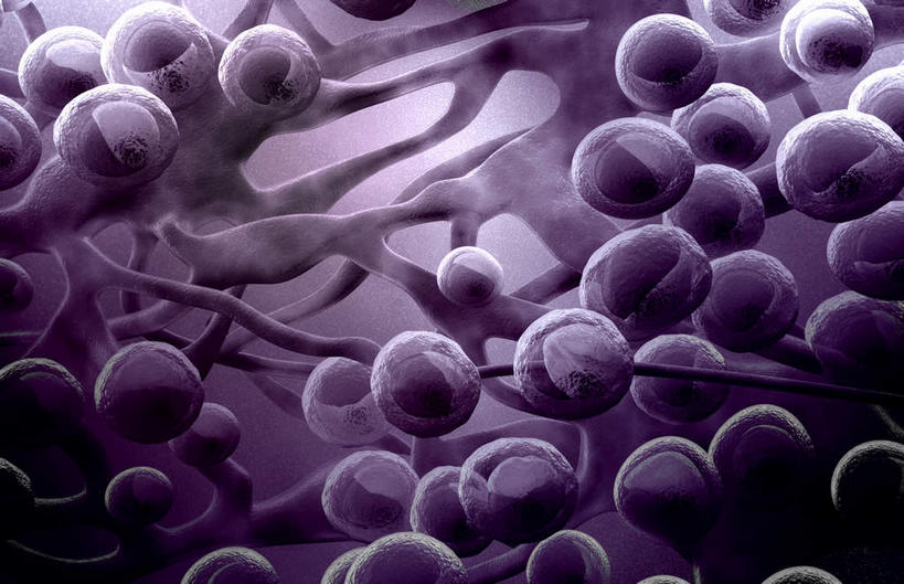 无人,横图,插画,室内,特写,白天,正面,数码,科技,静物,阴影,黑色背景,网络,医学,高光,几何,计算机图形,合成,图画,画,人体,电脑合成图,数码合成图,生物学,漫画,生理学,写实,具体,具象,淋巴系统,淋巴细胞,淋巴,淋巴管,淋巴液,淋巴组织,免疫组织,彩图