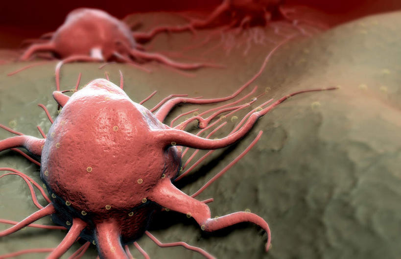 无人,横图,插画,室内,特写,白天,正面,数码,分子,科技,微生物,静物,阴影,黑色背景,网络,医学,高光,几何,计算机图形,合成,图画,画,生物,人体,电脑合成图,数码合成图,医疗,病毒,生物学,漫画,癌症,癌细胞,生理学,写实,具体,具象,寄生,生命体,肿瘤细胞,彩图