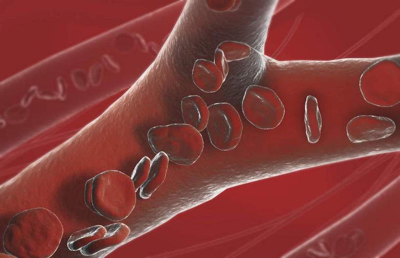 血管,毛细血管,无人,横图,插画,室内,特写,白天,正面,数码,分子,科技,微生物,静物,阴影,黑色背景,网络,医学,细胞,高光,几何,计算机图形,合成,图画,画,血液,生物,人体,电脑合成图,数码合成图,医疗,生物学,血细胞,漫画,生理学,写实,具体,具象,红细胞,生命体,彩图