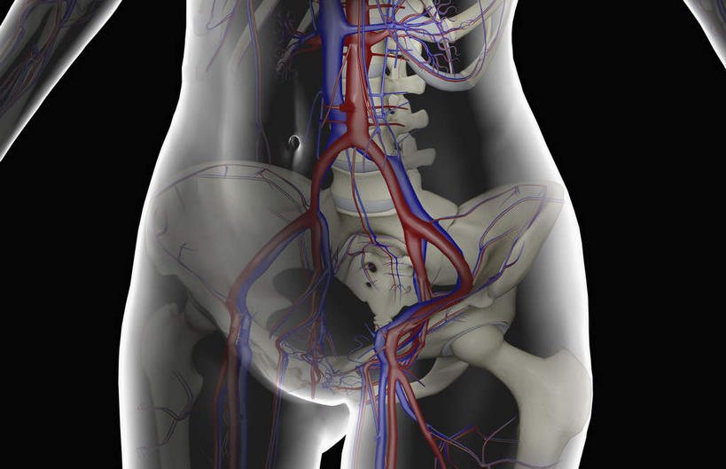动脉,静脉,骨骼,无人,横图,室内,白天,正面,数码,科技,阴影,黑色背景,辐射,科学,网络,骨头,高光,几何,计算机图形,合成,模型,皮肤,电脑合成图,数码合成图,骨架,科学技术,x射线,x光,写实,具体,具象,股静脉,髂动脉,髂静脉,髂内动脉,髂外动脉,髂外静脉,彩图,电磁波,电磁辐射