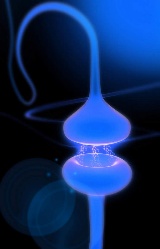 神经,无人,竖图,插画,室内,特写,白天,正面,数码,科技,静物,阴影,黑色背景,网络,医学,细胞,高光,几何,计算机图形,合成,图画,画,蓝色,人体,电脑合成图,数码合成图,生物学,漫画,神经元,生理学,写实,具体,具象,轴突,彩图,神经系统,神经组织