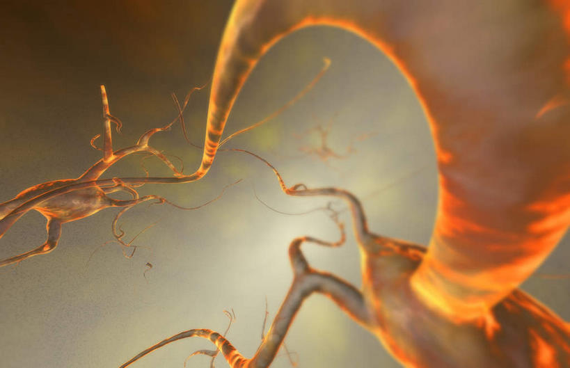 神经,无人,横图,插画,室内,特写,白天,正面,数码,科技,静物,阴影,黑色背景,网络,医学,细胞,高光,几何,计算机图形,合成,图画,画,黄色,人体,电脑合成图,数码合成图,生物学,漫画,神经元,生理学,写实,具体,具象,轴突,彩图,神经系统,神经组织