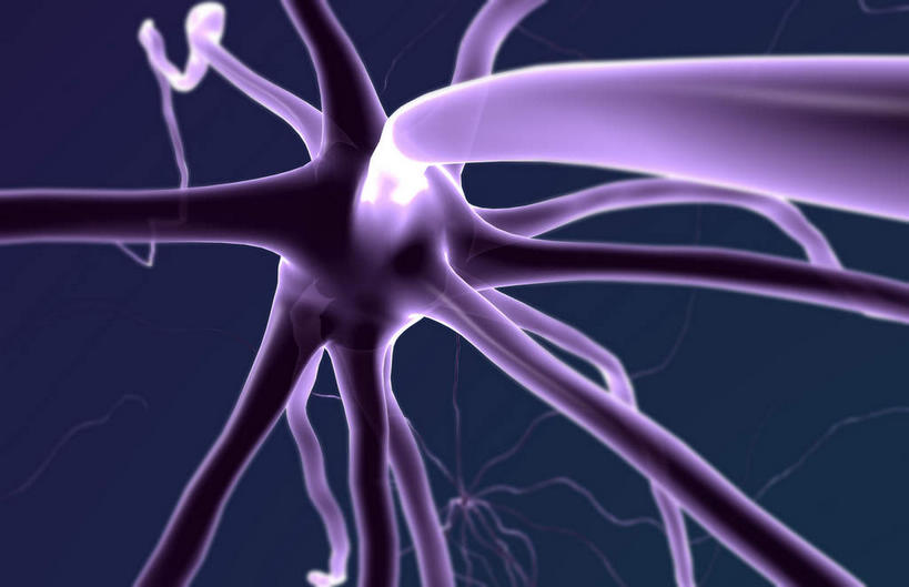 神经,无人,横图,插画,室内,特写,白天,正面,数码,科技,静物,阴影,黑色背景,网络,医学,细胞,高光,几何,计算机图形,合成,图画,画,紫色,人体,电脑合成图,数码合成图,生物学,漫画,神经元,生理学,写实,具体,具象,轴突,彩图,神经系统,神经组织