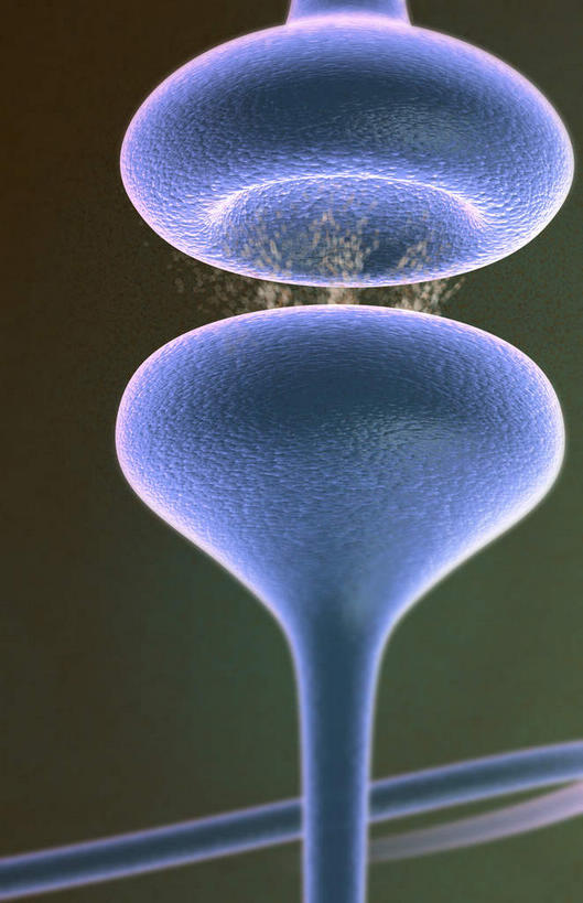 神经,无人,竖图,插画,室内,特写,白天,正面,数码,科技,静物,阴影,黑色背景,对称,网络,医学,圆形,细胞,高光,几何,计算机图形,合成,图画,画,人体,电脑合成图,数码合成图,生物学,漫画,神经元,生理学,写实,具体,具象,轴突,彩图,神经系统,神经组织