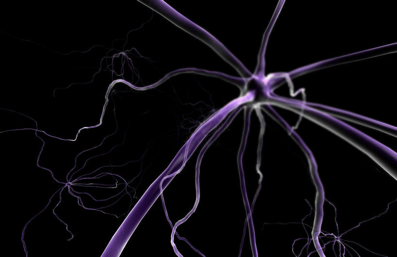 神经,无人,横图,插画,室内,特写,白天,正面,数码,科技,静物,阴影,黑色背景,网络,医学,细胞,高光,几何,计算机图形,合成,图画,画,紫色,人体,电脑合成图,数码合成图,生物学,漫画,神经元,生理学,写实,具体,具象,轴突,彩图,神经系统,神经组织