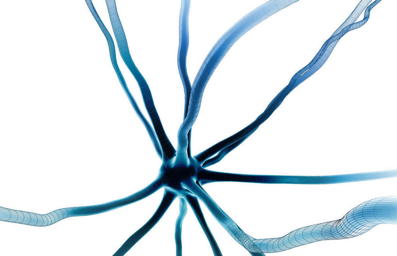 神经,无人,横图,插画,室内,特写,白天,白色背景,正面,数码,科技,静物,阴影,网络,医学,细胞,高光,几何,计算机图形,合成,图画,画,蓝色,人体,电脑合成图,数码合成图,生物学,漫画,神经元,生理学,写实,具体,具象,轴突,彩图,神经系统,神经组织