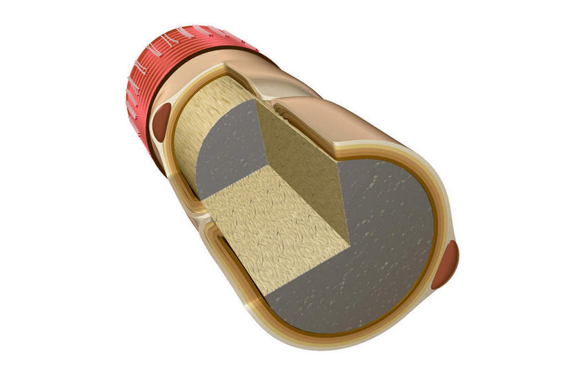 无人,横图,插画,室内,特写,白天,白色背景,正面,数码,科技,静物,阴影,网络,医学,圆形,细胞,高光,几何,计算机图形,合成,图画,画,红色,人体,纤维,电脑合成图,数码合成图,生物学,横截面,漫画,生理学,写实,具体,具象,神经纤维,彩图