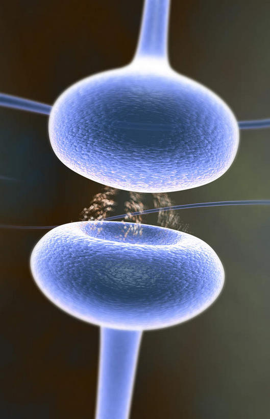 神经,无人,竖图,插画,室内,特写,白天,正面,数码,科技,静物,阴影,黑色背景,对称,网络,医学,细胞,高光,几何,计算机图形,合成,图画,画,蓝色,人体,电脑合成图,数码合成图,生物学,漫画,神经元,生理学,写实,具体,具象,轴突,彩图,神经系统,神经组织