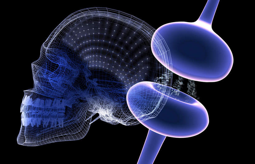 神经,无人,横图,插画,室内,特写,白天,正面,数码,科技,静物,阴影,黑色背景,对称,网络,医学,人头骨,头骨,细胞,高光,几何,计算机图形,合成,图画,画,蓝色,人体,电脑合成图,数码合成图,生物学,漫画,神经元,生理学,写实,具体,具象,轴突,彩图,神经系统,神经组织