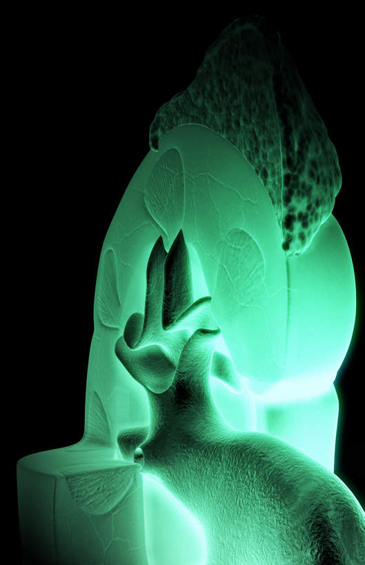 内脏,肾脏,动脉,静脉,无人,竖图,室内,白天,正面,静物,黑色背景,发光,医学,绿色,模型,血液,人体,生物学,人体器官,器官,生理学,彩图