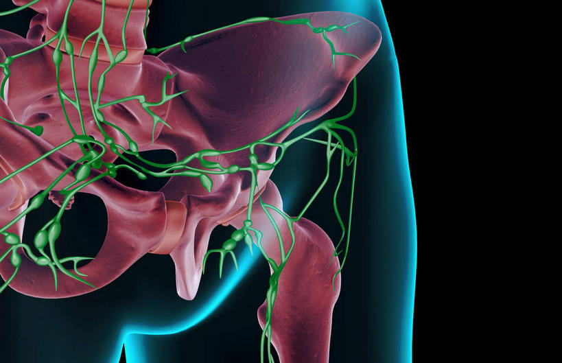 臀部,内脏,动脉,静脉,无人,横图,插画,室内,白天,正面,数码,科技,静物,阴影,黑色背景,网络,医学,高光,几何,计算机图形,合成,图画,画,模型,人体,电脑合成图,数码合成图,生物学,人体器官,器官,漫画,生理学,写实,具体,具象,淋巴结,淋巴系统,淋巴管,淋巴组织,免疫系统,免疫组织,彩图