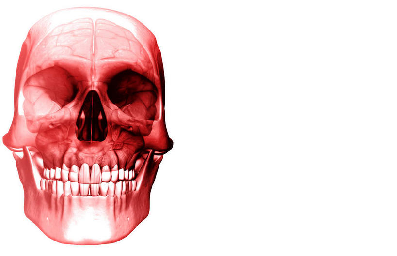 动脉,静脉,骨骼,无人,横图,插画,x光片,室内,特写,白天,白色背景,正面,数码,科技,静物,大脑,阴影,发光,辐射,科学,网络,医学,骨头,高光,几何,计算机图形,合成,图画,画,红色,模型,人体,电脑合成图,数码合成图,骨架,医疗,生物学,科学技术,x射线,器官,沟壑,x光,漫画,小脑,脑干,生理学,写实,具体,具象,大脑皮层,端脑,额叶,沟,灰质,回,间脑,半身,彩图,电磁波,电磁辐射