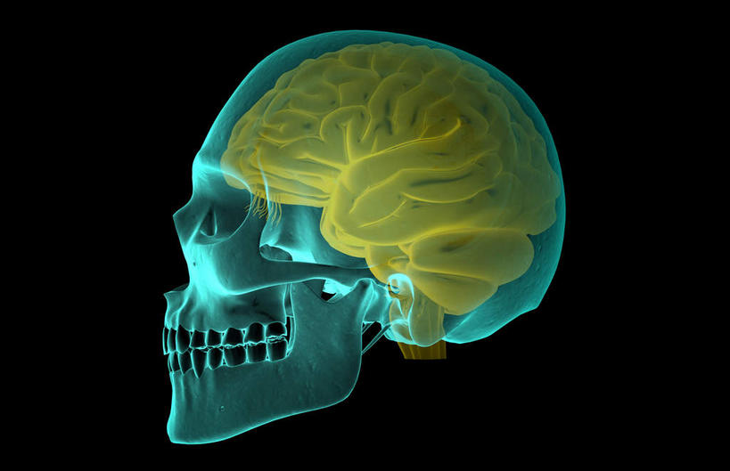 动脉,静脉,骨骼,无人,横图,插画,x光片,室内,特写,白天,正面,数码,科技,静物,大脑,阴影,黑色背景,发光,辐射,科学,网络,医学,骨头,高光,几何,计算机图形,合成,图画,画,绿色,模型,人体,电脑合成图,数码合成图,骨架,医疗,生物学,科学技术,x射线,器官,沟壑,x光,漫画,小脑,脑干,生理学,写实,具体,具象,大脑皮层,端脑,额叶,沟,灰质,回,间脑,颞叶,左脑,半身,彩图,大脑半球,电磁波,电磁辐射