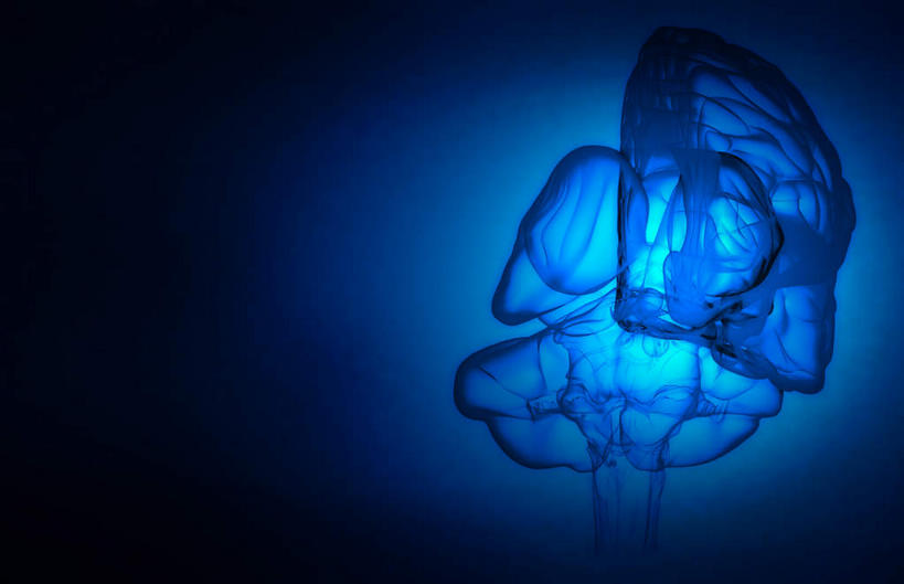 无人,横图,彩色,插画,x光片,室内,白天,正面,数码,科技,大脑,阴影,黑色背景,辐射,科学,网络,医学,高光,几何,计算机图形,合成,图画,画,蓝色,电脑合成图,数码合成图,医疗,科学技术,x射线,器官,沟壑,x光,漫画,小脑,脑干,写实,具体,具象,大脑皮层,端脑,沟,灰质,回,间脑,彩图,电磁波,电磁辐射