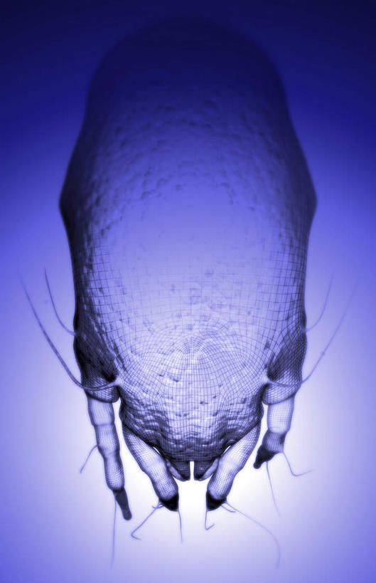 无人,竖图,插画,室内,白天,白色背景,正面,数码,科技,阴影,网络,高光,几何,计算机图形,合成,图画,画,电脑合成图,数码合成图,哮喘,漫画,过敏,写实,具体,具象,螨虫,尘螨,彩图