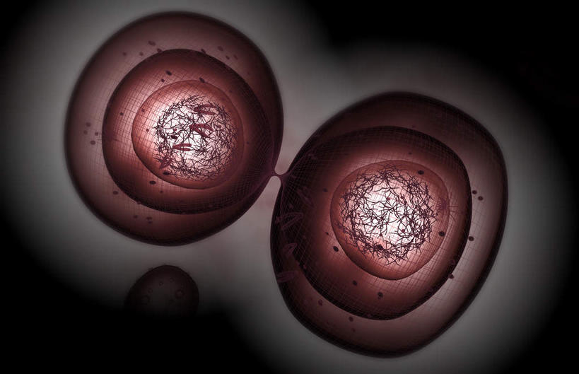 无人,横图,插画,室内,特写,白天,正面,数码,科技,静物,阴影,黑色背景,网络,医学,细胞,高光,几何,计算机图形,合成,图画,画,人体,电脑合成图,数码合成图,生物学,破裂,分裂,漫画,生理学,写实,具体,具象,细胞分裂,有丝分裂,割裂,盘据,末期细胞分裂,彩图,决裂