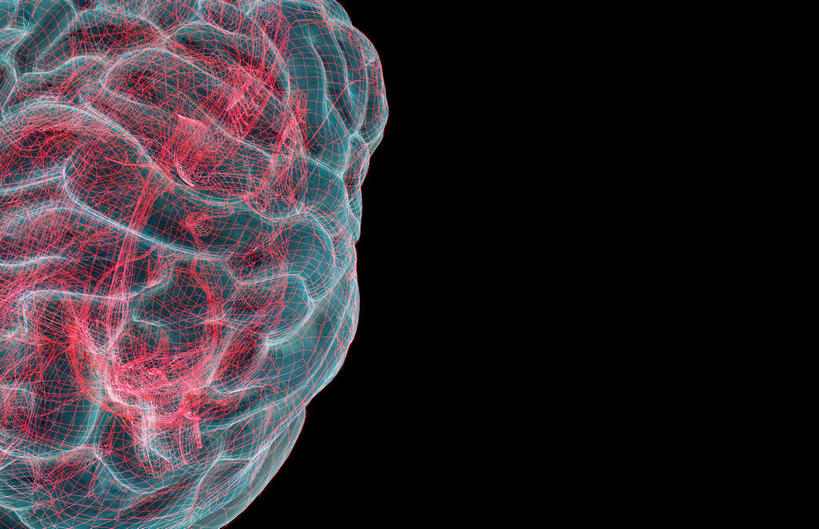 内脏,动脉,静脉,无人,横图,插画,室内,白天,正面,数码,科技,静物,大脑,阴影,黑色背景,网络,医学,高光,几何,计算机图形,合成,图画,画,红色,模型,人体,电脑合成图,数码合成图,生物学,人体器官,解剖,器官,沟壑,漫画,小脑,脑干,生理学,写实,具体,具象,大脑皮层,端脑,沟,灰质,回,间脑,彩图,剖解