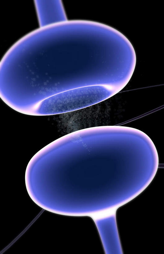 无人,竖图,插画,室内,特写,白天,正面,数码,科技,静物,阴影,黑色背景,对称,网络,医学,高光,几何,计算机图形,合成,图画,画,蓝色,人体,电脑合成图,数码合成图,生物学,漫画,生理学,写实,具体,具象,突触,神经递质,彩图