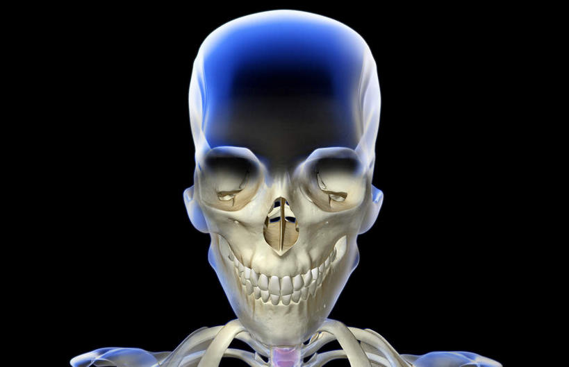 牙齿,颅骨,动脉,静脉,骨骼,无人,横图,插画,x光片,室内,特写,白天,正面,数码,科技,静物,阴影,黑色背景,发光,辐射,科学,网络,医学,骨头,高光,几何,计算机图形,合成,图画,画,绿色,模型,人体,电脑合成图,数码合成图,骨架,医疗,生物学,科学技术,x射线,x光,漫画,生理学,写实,具体,具象,颚骨,颞骨,头盖骨,齿,牙,牙龈,彩图,电磁波,电磁辐射