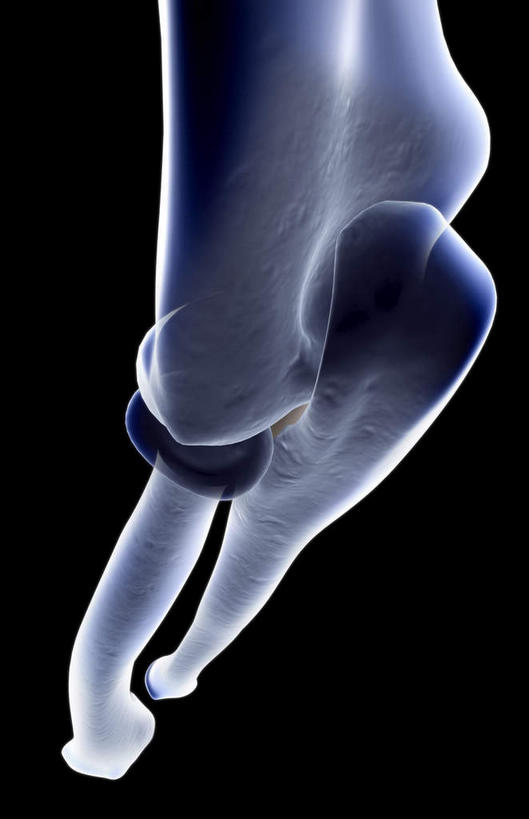 手,动脉,静脉,骨骼,无人,竖图,插画,x光片,室内,特写,白天,正面,数码,科技,静物,阴影,黑色背景,发光,辐射,科学,网络,医学,骨头,高光,几何,计算机图形,合成,图画,画,蓝色,模型,手部,手指,人体,电脑合成图,数码合成图,骨架,医疗,生物学,科学技术,x射线,x光,漫画,生理学,写实,具体,具象,掌骨,钩骨,月骨,半身,彩图,电磁波,电磁辐射