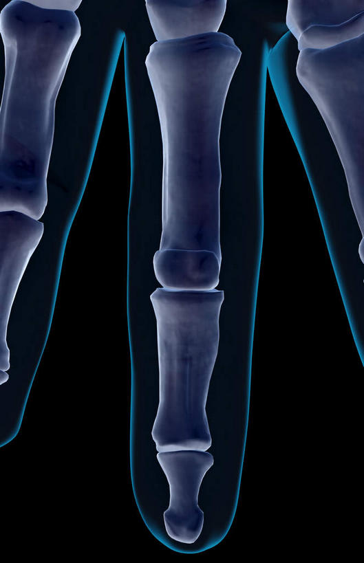 手,动脉,静脉,骨骼,无人,竖图,插画,x光片,室内,特写,白天,正面,数码,科技,静物,阴影,黑色背景,辐射,科学,网络,医学,骨头,高光,几何,计算机图形,合成,图画,画,模型,手部,手指,人体,皮肤,电脑合成图,数码合成图,骨架,医疗,生物学,科学技术,x射线,x光,漫画,生理学,写实,具体,具象,指骨,手舟骨,月骨,半身,彩图,电磁波,电磁辐射