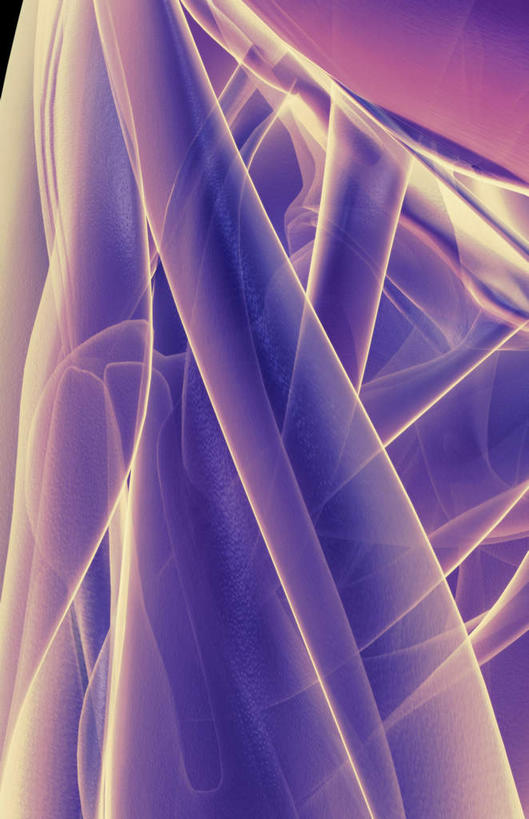 动脉,静脉,骨骼,肌肉,健壮,无人,竖图,插画,室内,特写,白天,正面,数码,科技,静物,阴影,黑色背景,发光,网络,医学,骨头,高光,几何,计算机图形,合成,图画,画,紫色,模型,健康,活力,力量,人体,青春,电脑合成图,数码合成图,骨架,生物学,强壮,漫画,生理学,写实,具体,具象,耻骨,彩图