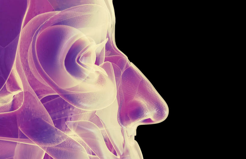 动脉,静脉,骨骼,肌肉,健壮,无人,横图,插画,室内,特写,白天,正面,数码,科技,静物,阴影,黑色背景,网络,医学,骨头,高光,几何,计算机图形,合成,图画,画,模型,健康,活力,力量,人体,青春,电脑合成图,数码合成图,骨架,生物学,强壮,漫画,生理学,写实,具体,具象,眼轮匝肌,彩图