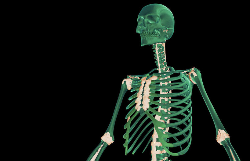 动脉,静脉,骨骼,无人,站,横图,插画,x光片,室内,特写,白天,正面,数码,科技,静物,阴影,黑色背景,辐射,科学,网络,医学,骨头,高光,几何,计算机图形,合成,图画,画,绿色,模型,站着,人体,电脑合成图,数码合成图,骨架,医疗,生物学,科学技术,x射线,x光,韧带,漫画,生理学,写实,具体,具象,腰部,站立,彩图,前纵韧带,电磁波,电磁辐射