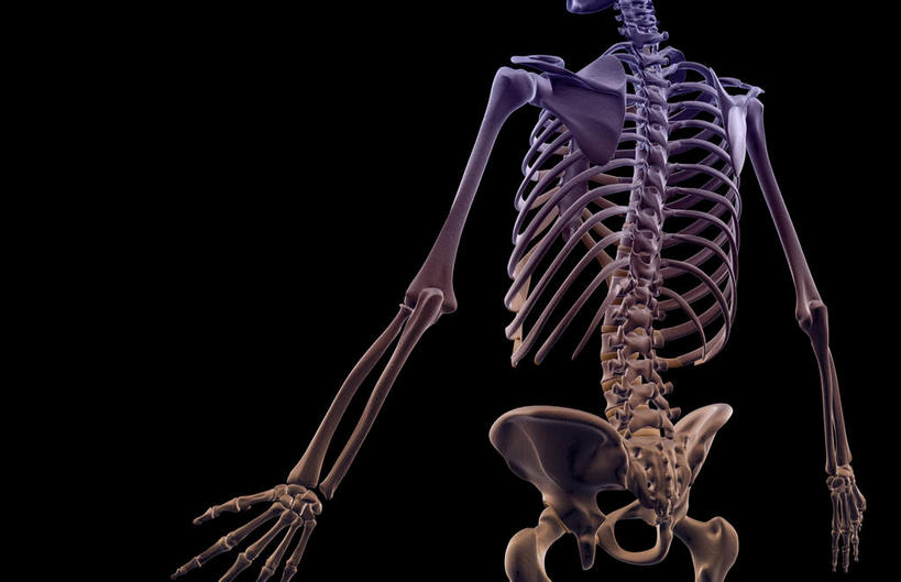 无人,横图,插画,x光片,室内,特写,白天,正面,数码,科技,阴影,黑色背景,辐射,科学,网络,医学,高光,几何,计算机图形,合成,图画,画,电脑合成图,数码合成图,医疗,科学技术,x射线,x光,漫画,写实,具体,具象,髋骨,髋关节,彩图,电磁波,电磁辐射