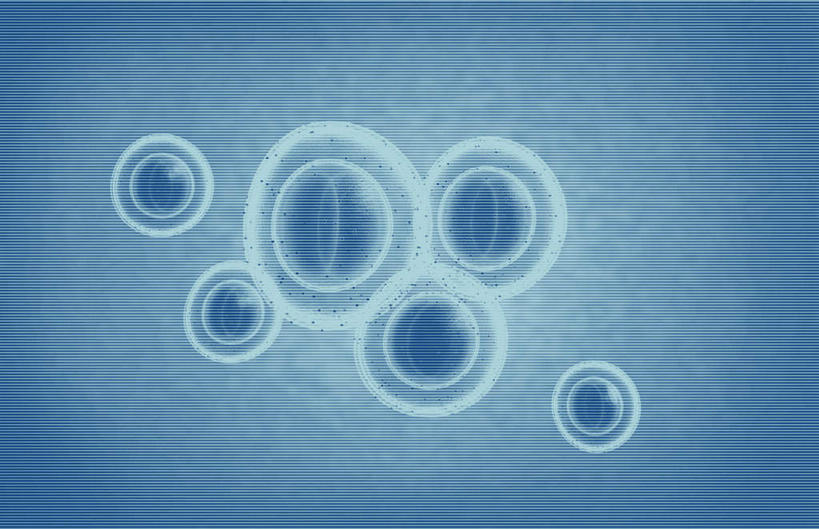 无人,横图,插画,室内,特写,白天,正面,数码,科技,微生物,静物,阴影,黑色背景,网络,细菌,医学,细胞,高光,几何,计算机图形,合成,图画,画,人体,电脑合成图,数码合成图,生物学,漫画,生理学,写实,具体,具象,生命体,葡萄球菌,金黄色葡萄球菌,耐甲氧西林金黄色葡萄球菌,彩图,感染