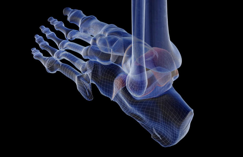 腿部,脚,脚趾,脚趾甲,腿,无人,横图,插画,x光片,室内,白天,正面,数码,科技,阴影,黑色背景,发光,辐射,科学,网络,医学,高光,几何,计算机图形,合成,图画,画,紫色,电脑合成图,数码合成图,医疗,科学技术,x射线,x光,漫画,写实,具体,具象,跟骨,跖骨,足骨,脚指甲,彩图,电磁波,电磁辐射