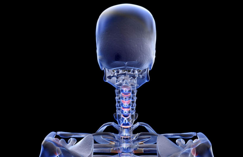 脖子,颅骨,动脉,静脉,骨骼,无人,竖图,插画,x光片,室内,特写,白天,正面,数码,科技,静物,阴影,黑色背景,发光,辐射,科学,网络,医学,骨头,高光,几何,计算机图形,合成,图画,画,蓝色,模型,人体,电脑合成图,数码合成图,骨架,医疗,生物学,科学技术,x射线,x光,漫画,生理学,写实,具体,具象,顶骨,颈椎,枕骨,头盖骨,脖,颈,颈部,彩图,电磁波,电磁辐射