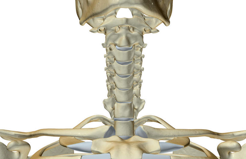 脖子,动脉,静脉,骨骼,无人,横图,插画,x光片,室内,特写,白天,白色背景,正面,数码,科技,静物,阴影,辐射,科学,网络,医学,骨头,高光,几何,计算机图形,合成,图画,画,模型,人体,电脑合成图,数码合成图,骨架,医疗,生物学,科学技术,x射线,x光,漫画,生理学,写实,具体,具象,颈椎骨,脖,颈,颈部,彩图,电磁波,电磁辐射