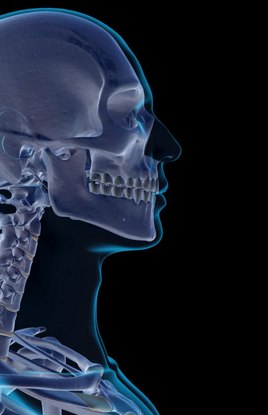 脸,头,脸颊,动脉,静脉,骨骼,无人,站,竖图,插画,x光片,室内,特写,白天,正面,数码,科技,静物,阴影,黑色背景,辐射,科学,网络,医学,骨头,高光,几何,计算机图形,合成,图画,画,模型,站着,人体,电脑合成图,数码合成图,骨架,医疗,生物学,科学技术,x射线,人骨,x光,漫画,生理学,写实,具体,具象,头部,脸部,脸蛋,面部,站立,彩图,电磁波,电磁辐射