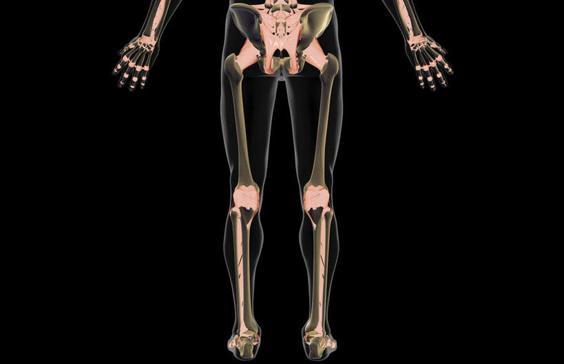 无人,横图,插画,x光片,室内,白天,正面,数码,科技,阴影,黑色背景,辐射,科学,网络,医学,高光,几何,计算机图形,合成,图画,画,皮肤,电脑合成图,数码合成图,医疗,科学技术,x射线,x光,韧带,漫画,写实,具体,具象,彩图,电磁波,电磁辐射