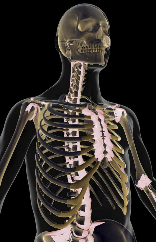 无人,站,横图,插画,x光片,室内,白天,正面,数码,科技,阴影,黑色背景,辐射,科学,网络,医学,高光,几何,计算机图形,合成,图画,画,站着,皮肤,电脑合成图,数码合成图,医疗,科学技术,x射线,x光,韧带,漫画,写实,具体,具象,站立,彩图,电磁波,电磁辐射