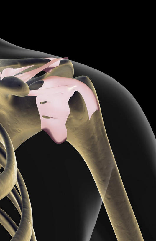 无人,站,横图,插画,x光片,室内,白天,正面,数码,科技,阴影,黑色背景,辐射,科学,网络,医学,高光,几何,计算机图形,合成,图画,画,站着,皮肤,电脑合成图,数码合成图,医疗,科学技术,x射线,x光,韧带,漫画,写实,具体,具象,肩部,站立,彩图,电磁波,电磁辐射