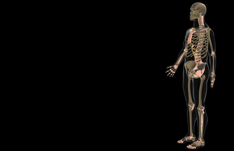 骨骼,无人,横图,x光片,室内,白天,正面,数码,科技,阴影,黑色背景,辐射,科学,网络,医学,骨头,高光,几何,计算机图形,合成,电脑合成图,数码合成图,骨架,医疗,科学技术,x射线,x光,韧带,写实,具体,具象,彩图,电磁波,电磁辐射