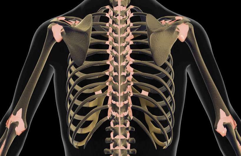 骨骼,无人,横图,x光片,室内,白天,正面,数码,科技,阴影,黑色背景,辐射,科学,网络,医学,骨头,高光,几何,计算机图形,合成,电脑合成图,数码合成图,骨架,医疗,科学技术,解剖,x射线,x光,韧带,写实,具体,具象,腰部,半身,彩图,剖解,电磁波,电磁辐射